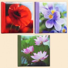 Pioneer 4R200CPPBB Breathe of the nature